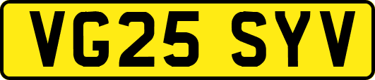 VG25SYV