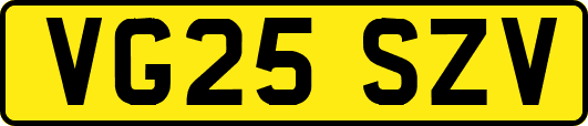VG25SZV