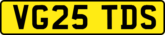 VG25TDS