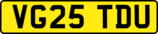 VG25TDU