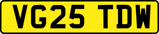 VG25TDW