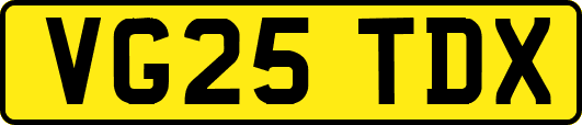 VG25TDX