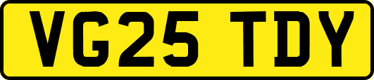 VG25TDY