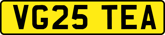 VG25TEA