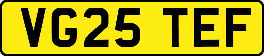VG25TEF