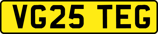 VG25TEG