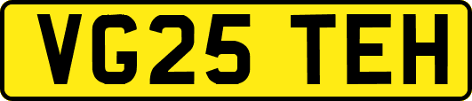 VG25TEH