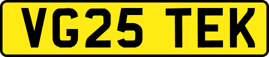 VG25TEK