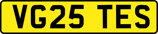 VG25TES