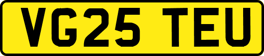 VG25TEU