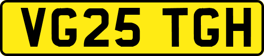 VG25TGH