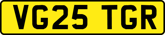 VG25TGR