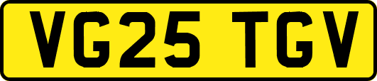 VG25TGV