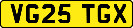 VG25TGX