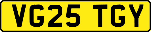VG25TGY