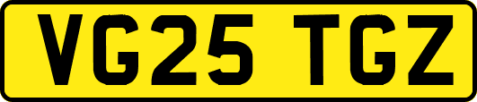 VG25TGZ