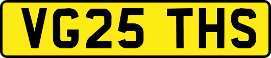 VG25THS