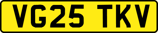 VG25TKV