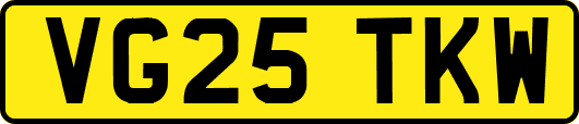 VG25TKW