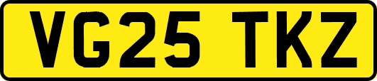 VG25TKZ
