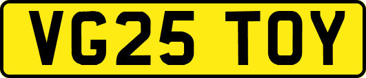 VG25TOY