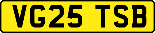VG25TSB