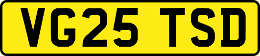 VG25TSD