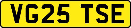 VG25TSE