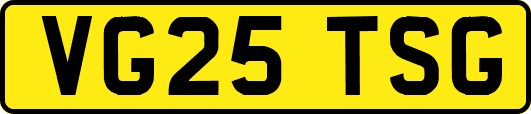 VG25TSG