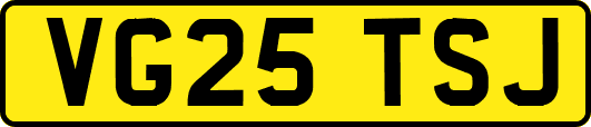VG25TSJ