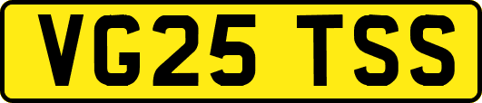 VG25TSS