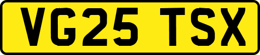 VG25TSX