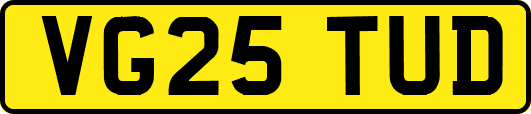 VG25TUD
