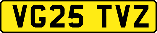 VG25TVZ