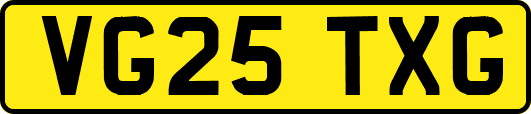 VG25TXG