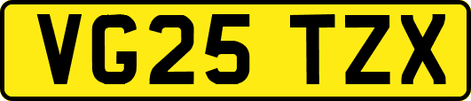 VG25TZX