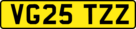VG25TZZ