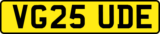 VG25UDE