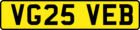 VG25VEB