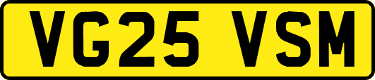 VG25VSM
