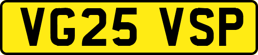 VG25VSP