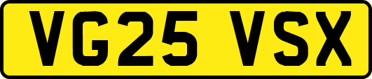 VG25VSX