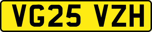 VG25VZH
