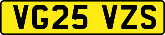 VG25VZS