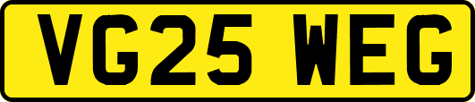 VG25WEG