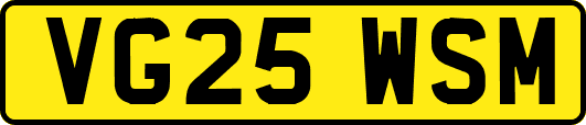 VG25WSM