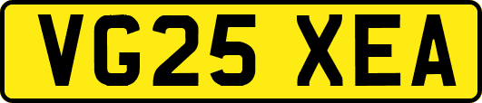 VG25XEA