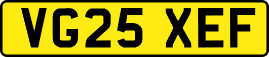 VG25XEF