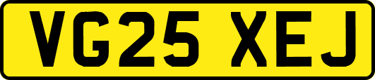 VG25XEJ
