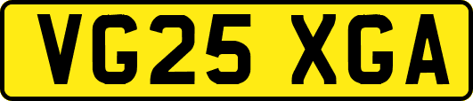 VG25XGA
